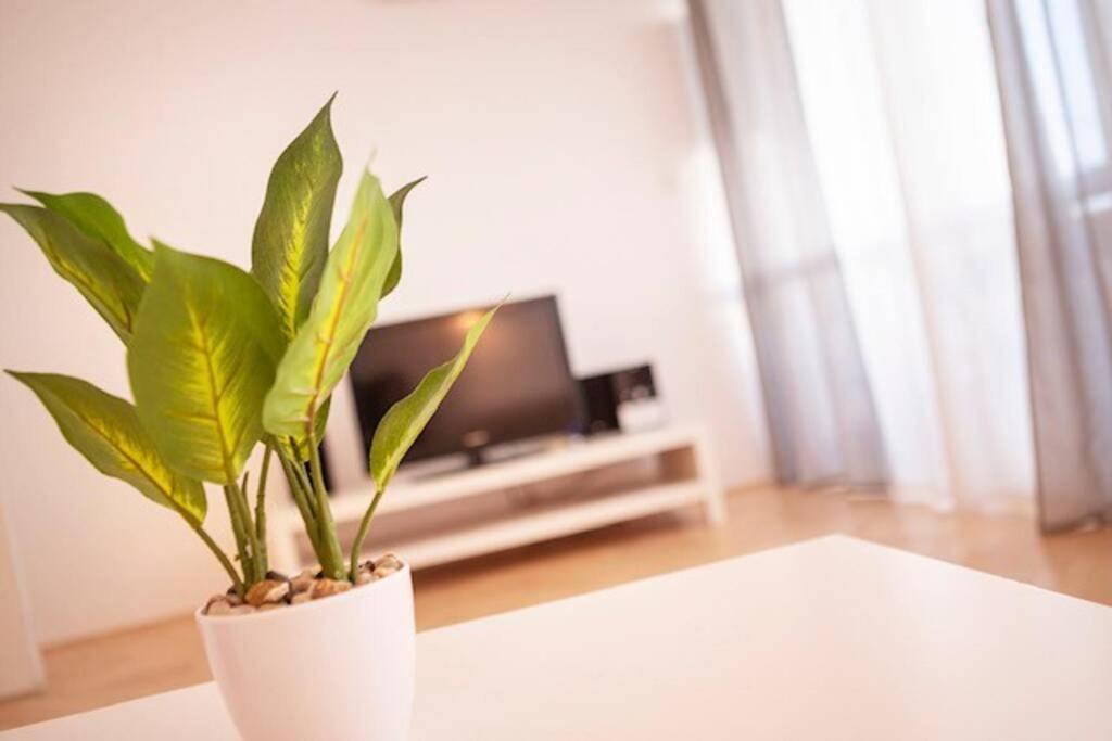 Sea City View W/ 2Bd 1Bt Free Street Parking Rijeka Exterior photo